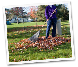 raking yard cleanup minneapolis